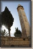 IMG_6797