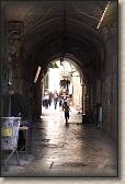 IMG_6851