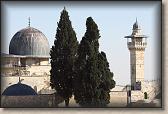 IMG_6881
