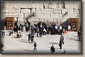 IMG_6884