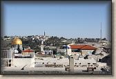 IMG_6917
