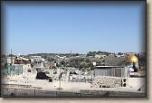 IMG_6919