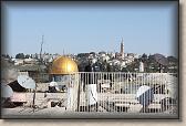 IMG_6924