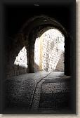 IMG_6926
