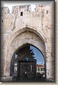 IMG_6937