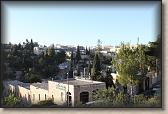 IMG_7163