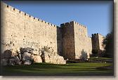 IMG_7164