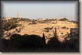 IMG_7203