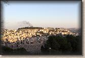 IMG_7206