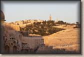IMG_7234