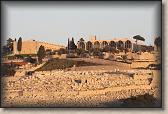 IMG_7236