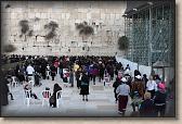 IMG_7252