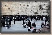 IMG_7260