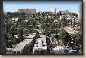 IMG_7475