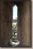 IMG_7479