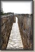 IMG_7485