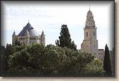 IMG_7503