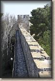 IMG_7506