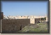 IMG_7508