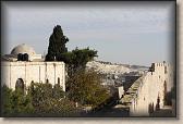 IMG_7511