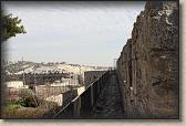 IMG_7521