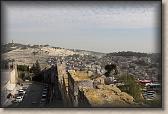 IMG_7526