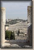 IMG_7530
