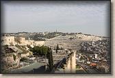 IMG_7531