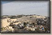 IMG_7543