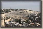 IMG_7549