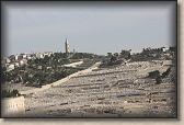 IMG_7550
