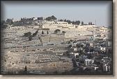 IMG_7551