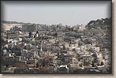 IMG_7552
