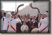 IMG_7571