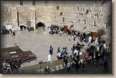 IMG_7588