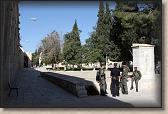 IMG_7594