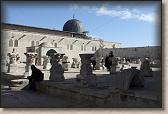 IMG_7597