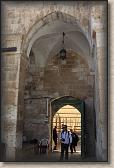 IMG_7599
