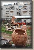 IMG_6259