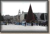 IMG_6305
