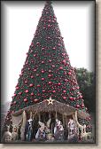 IMG_6310