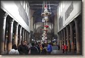 IMG_6318