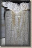 IMG_6351