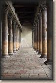 IMG_6417