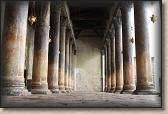 IMG_6423