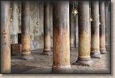 IMG_6427