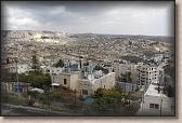 IMG_6550
