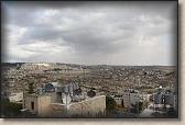 IMG_6555
