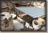 IMG_6575