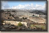 IMG_6581